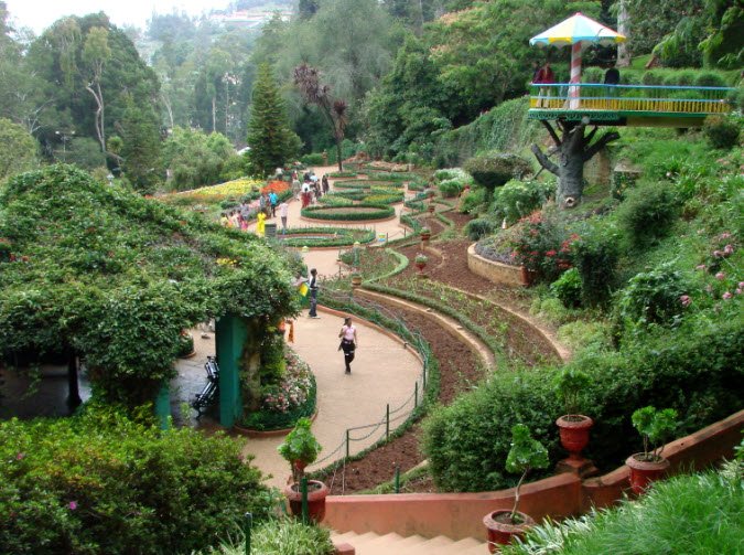 Government Botanical Garden , , India